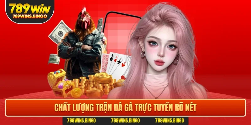 Chất lượng trận đá gà trực tuyến rõ nét
